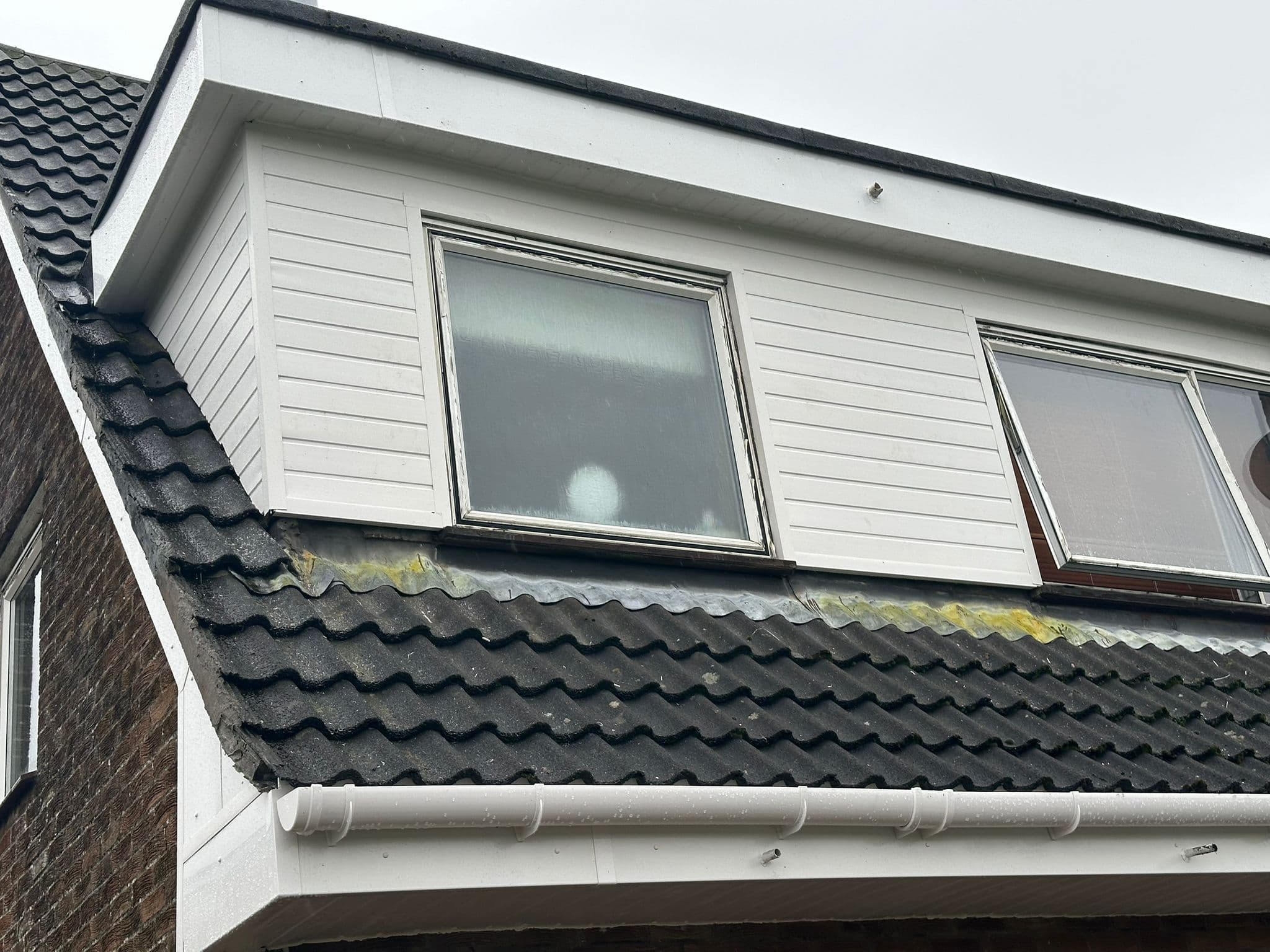 Roof Cleaning